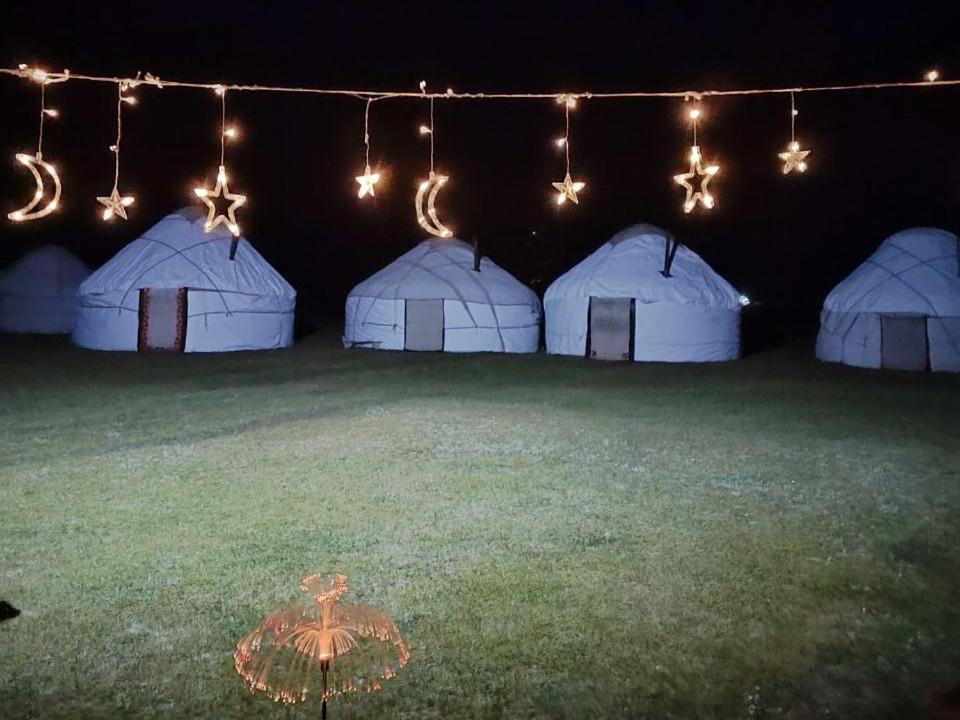 Zalkar Yurt Camp Hotell Song-Kul Exteriör bild